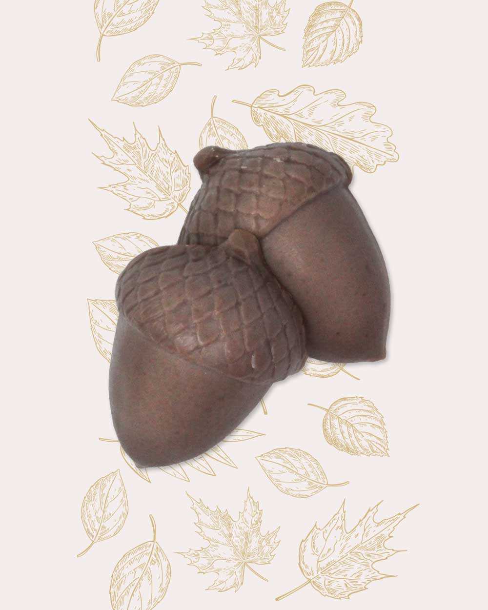 Autumn Warmth Acorn Soaps